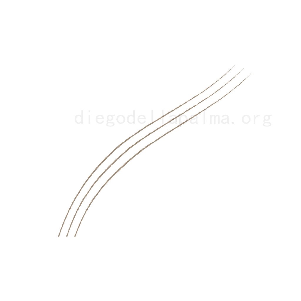 Diegodallapalma Microblading Eyebrow Pen